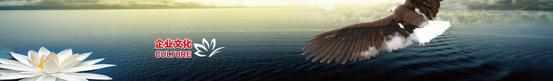 企业文化-williamhill中文官网